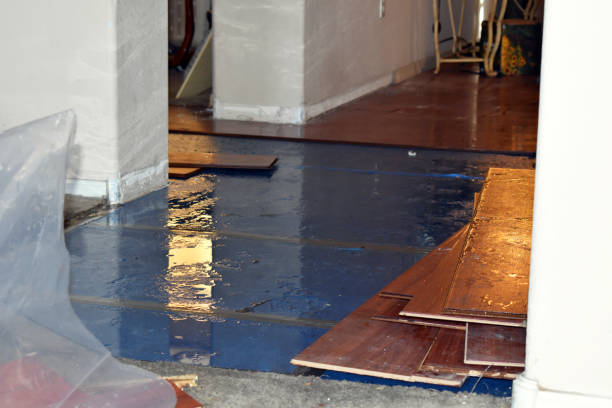 Professional Burst Pipe Cleanup technician working in Martindale, TX